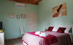 The Zigghy'S Room